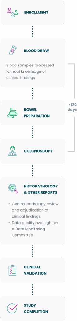 Steps in the PREEMPT CRC Study: enrollment, blood draw, colonoscopy, analysis, and validation within 120 days.