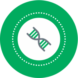 DNA strand illistration to highlight why PREEMPT CRC studies matter.